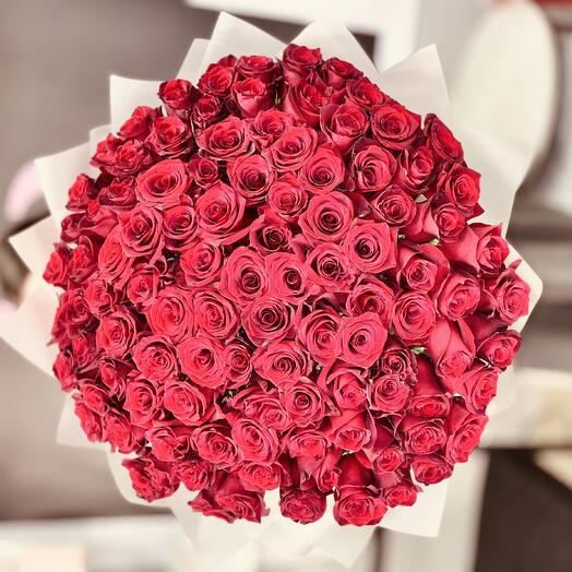 101 бордовая Роза 🌹