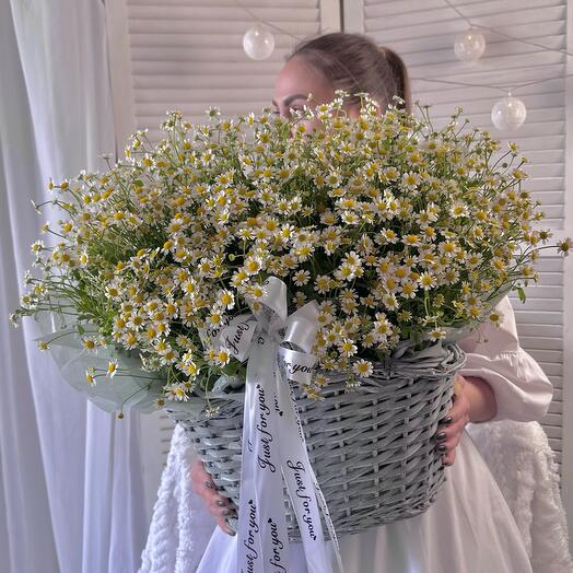 Cesta grande de margaritas de campo