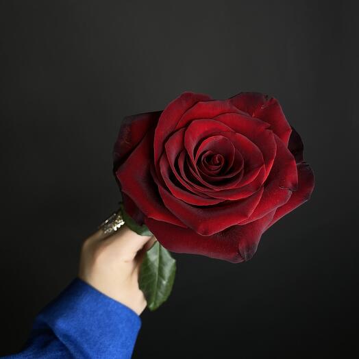 LA PERFECTION FLOWERS