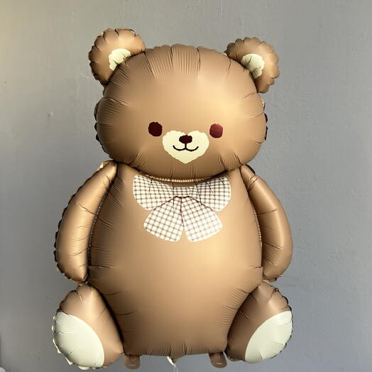 Solovei Balloon