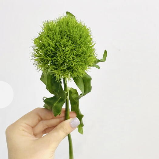 OK Flowers