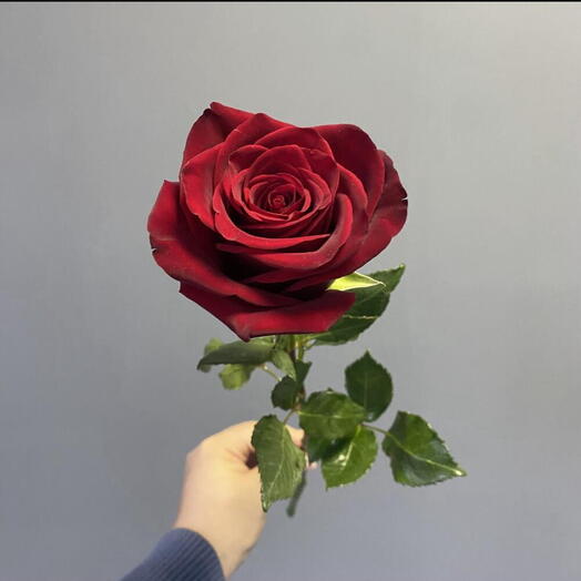 FLORESCO