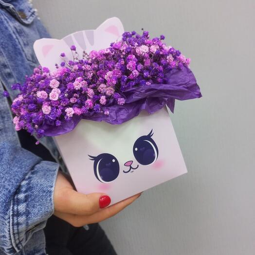 Гипсофила в коробке"Котик"