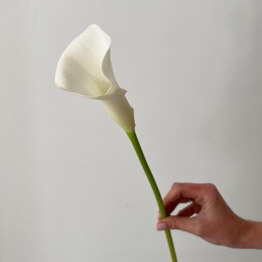 Calla Lilies