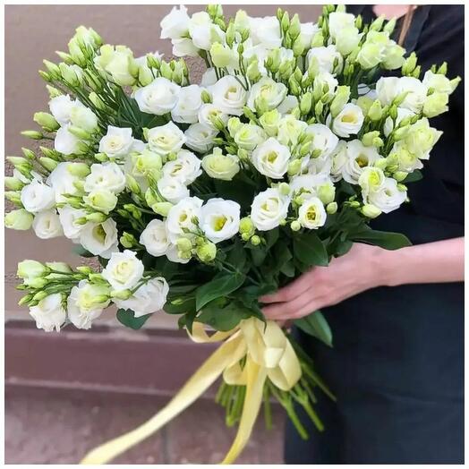 Lisianthus white 15 pcs