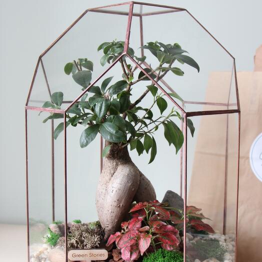 Latarnia Florarium