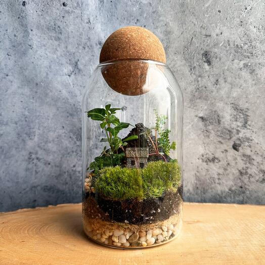 Экосистема с хедерой и домиком🏡