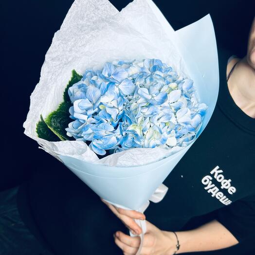 Aroma_Flowers