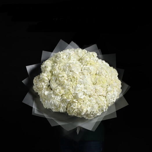 White Hydrangea