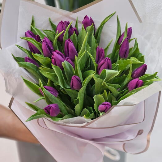 24 purple tulips