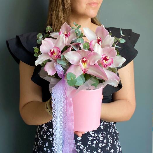 Орхидеи в шляпной коробке мб199