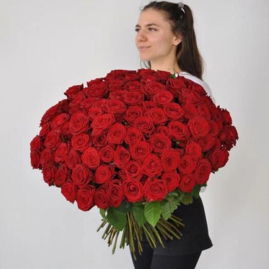 101 Роза красная 70 см Голландия