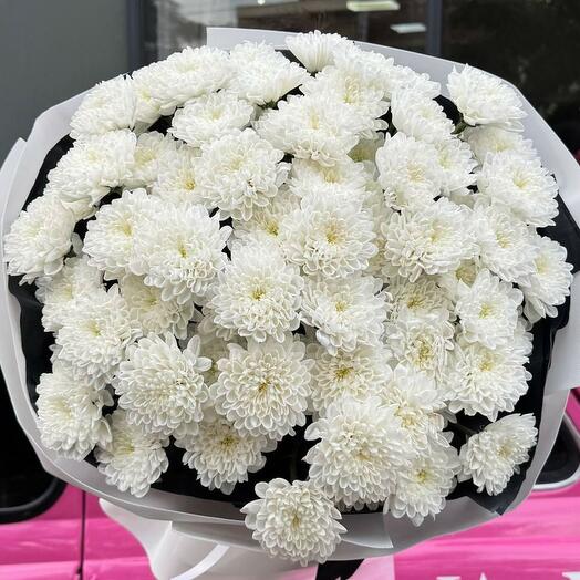 Белоснежная Симфония