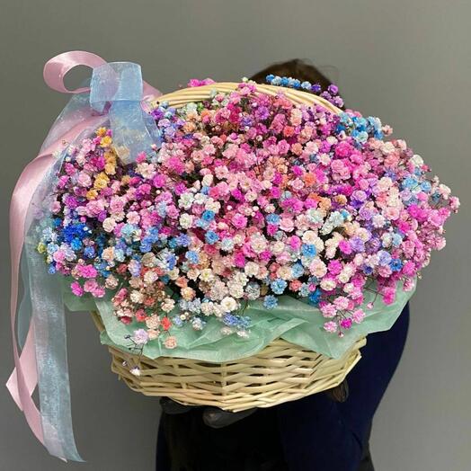 Корзинка из гипсофилы радужной