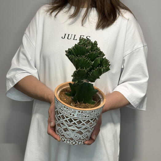Jules Flower Atelier
