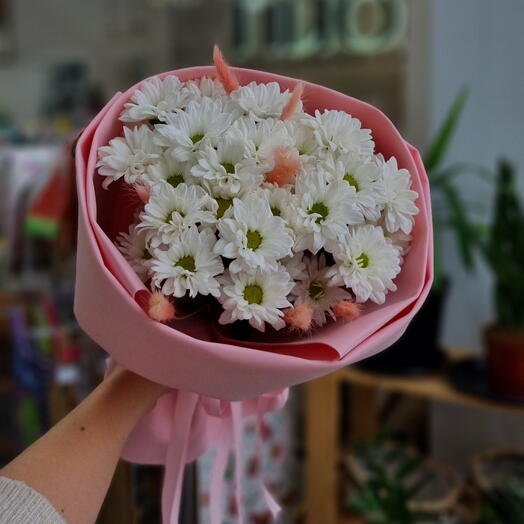 Pion