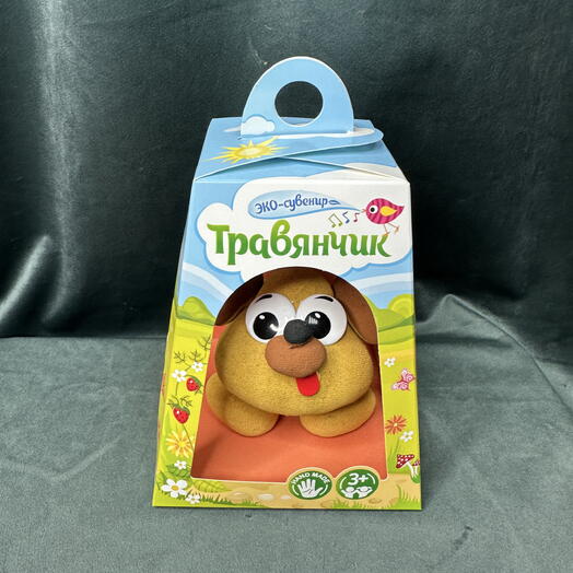 Цветочные мгновения