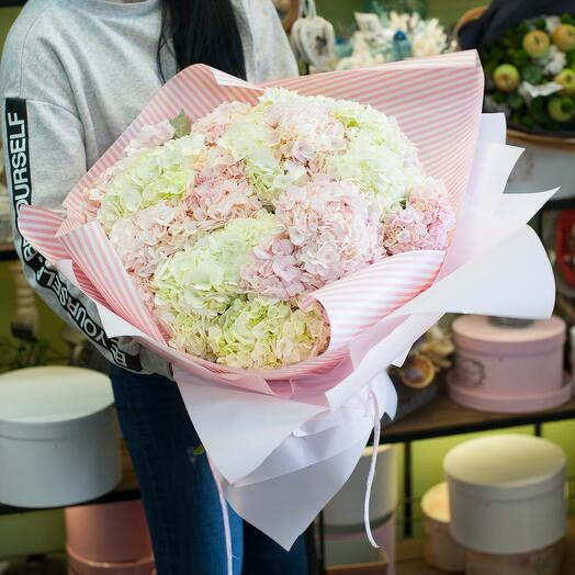 Ramo de flores Hortensia Pastel