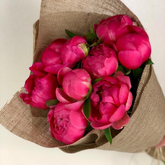 Sweet Peonies