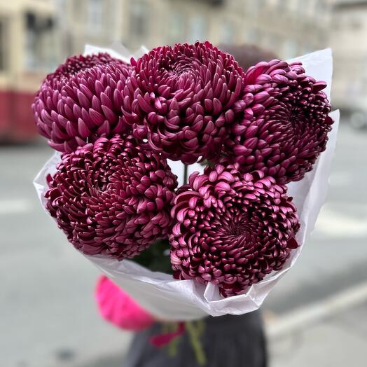 Цветочная Культура 