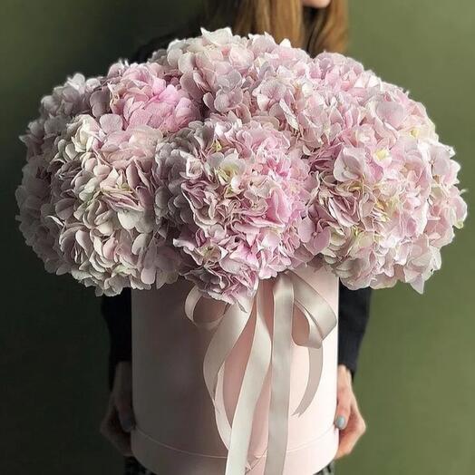 Шикарная коробка с 11 гортензиями