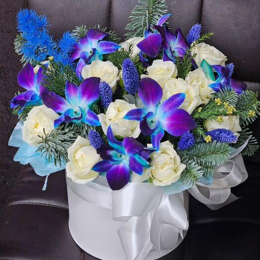 Box with dendrobium