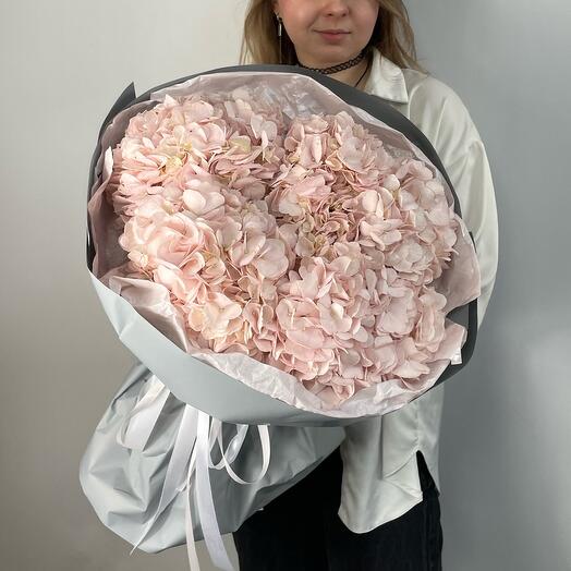 Bouquet of 5 pink hydrangeas