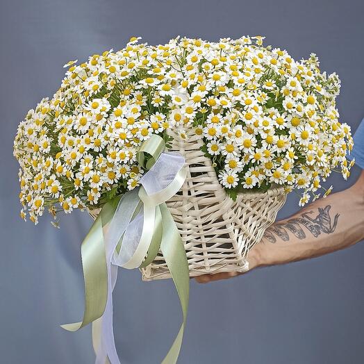 Sheffer flowers