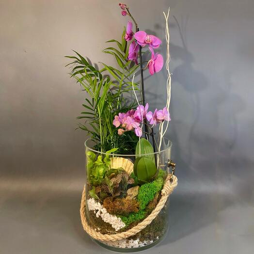 Flower_feya