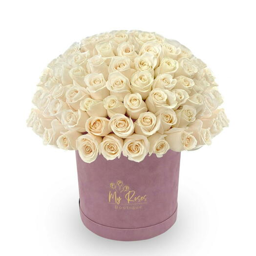 Lilac Velvet Box With 50 white Roses