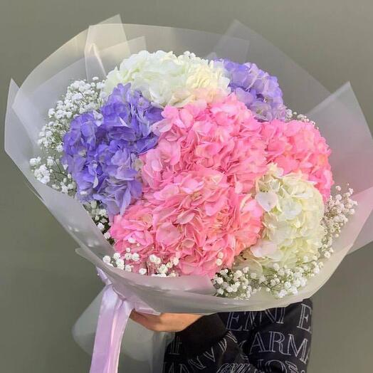 Bouquet of assorted hydrangeas and white gypsophila