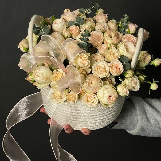 Всплеск эмоций