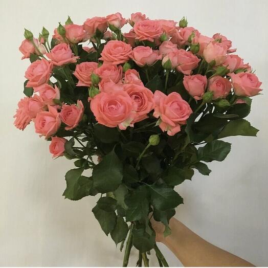 Ramo de rosas Rosadas brillantes Barbados