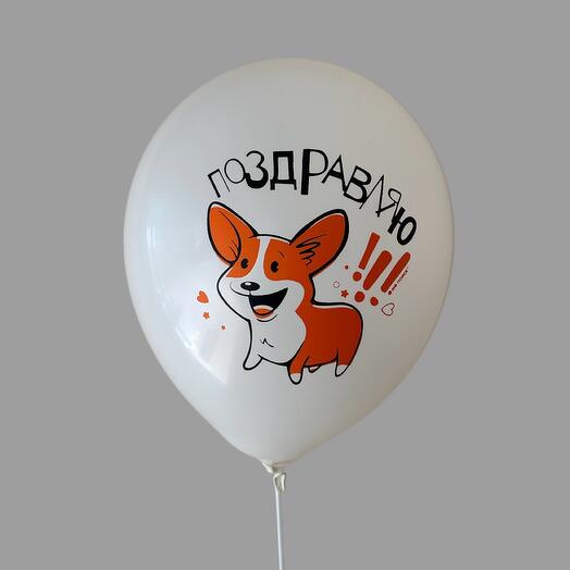 Шар Гелиевый Корги поздравляю