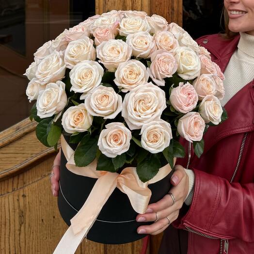 Розы Москвы 🌹
