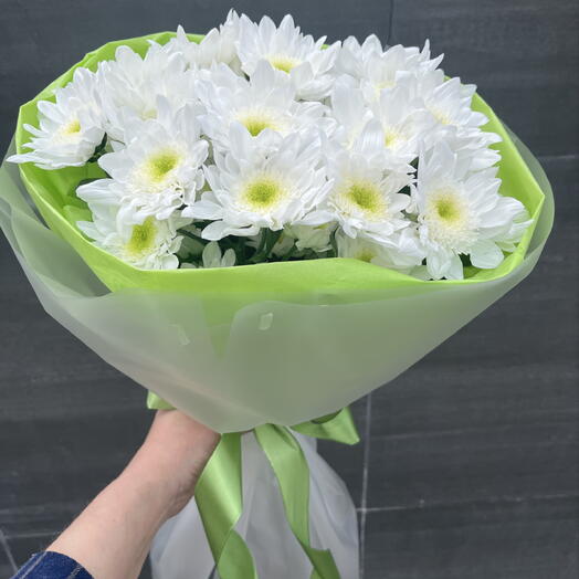 Pion