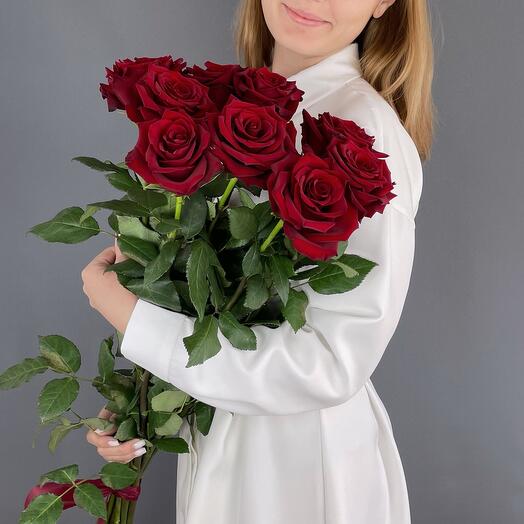 9 burgundy roses under the ribbon
