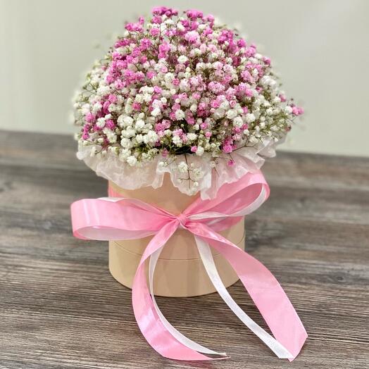 Ramo de gypsophila en Caja