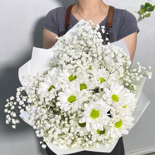 Snow Chrysanthemum