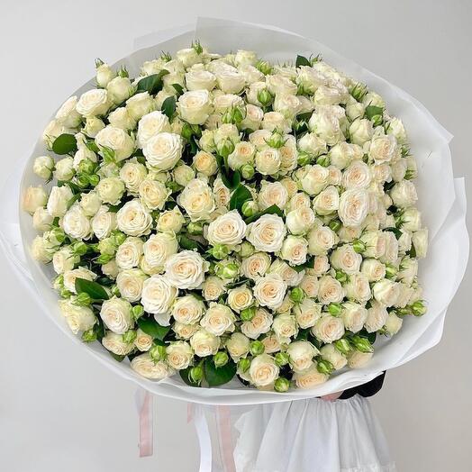 Кустовые розы