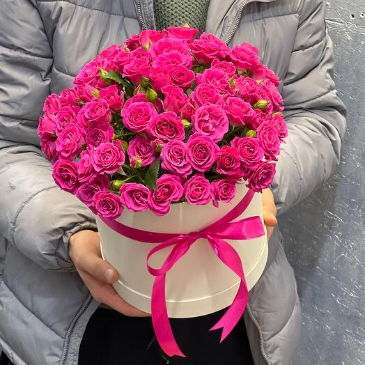 Raspberry bush rose in a box