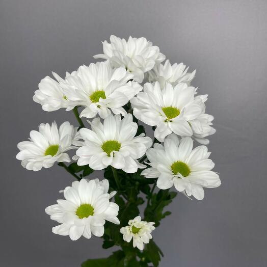  Azhur