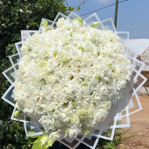 White lisianthus