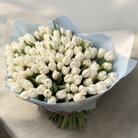 101 white tulips