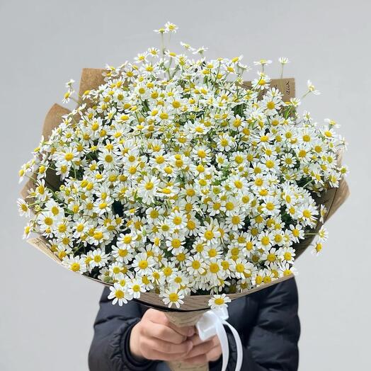 Mary flowers