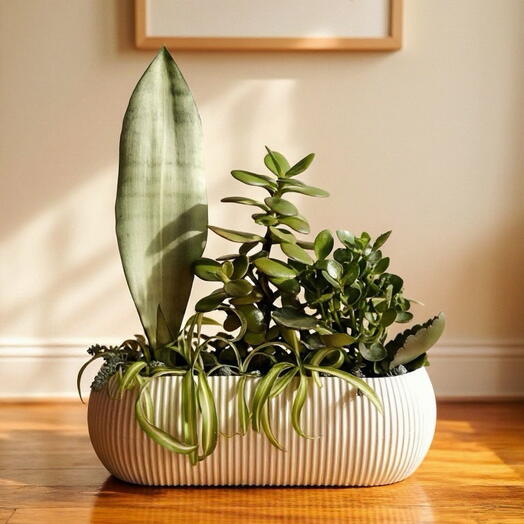Florarium Selena