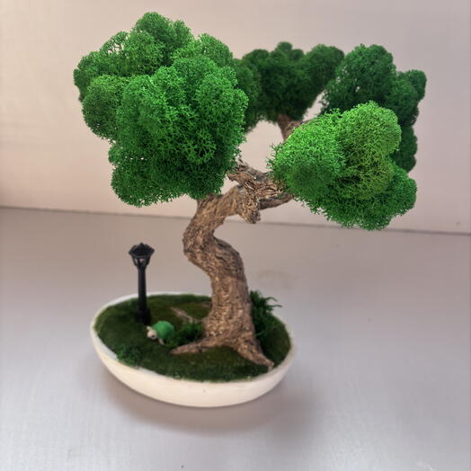 FreshMoss