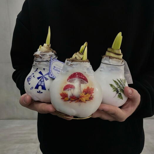 Колючка