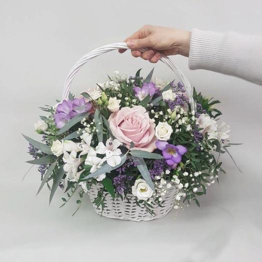 Floristica