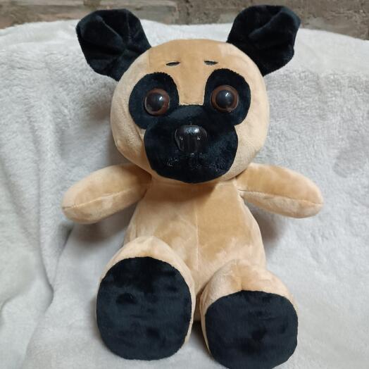 Pug